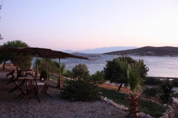 Teras Motel Foca Exterior photo